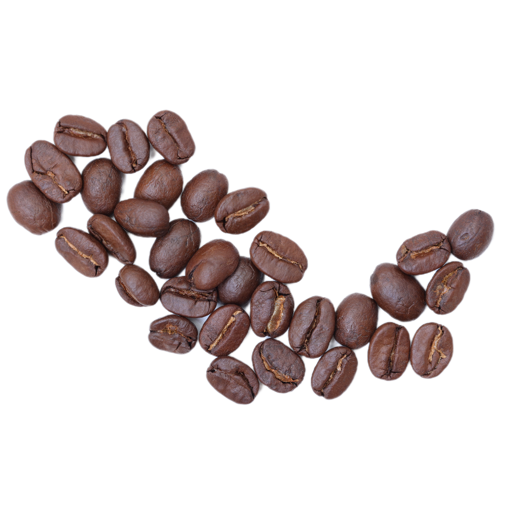 Koffiebonen liggen in een gebogen patroon op een witte achtergrond.