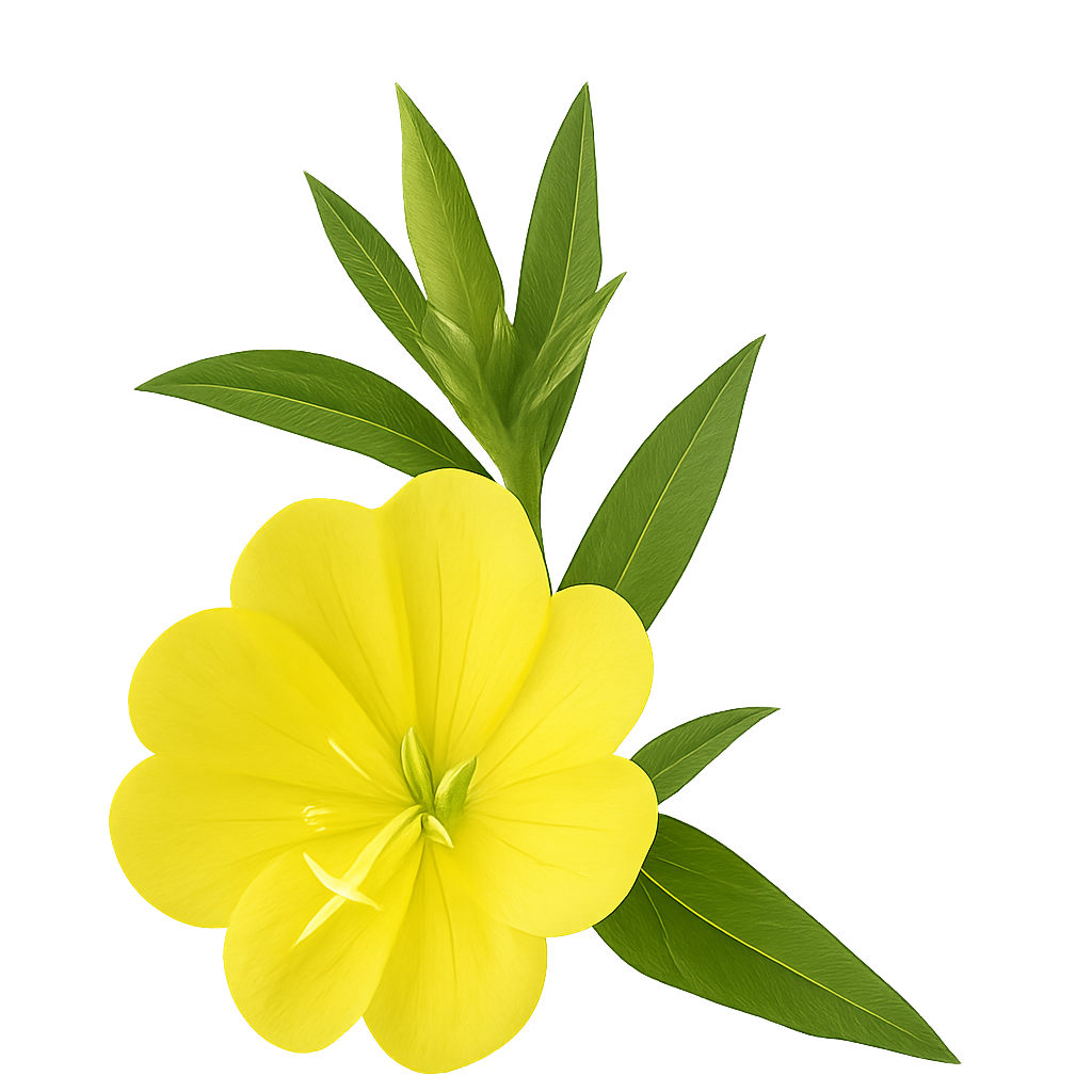 Felgele bloem met puntige groene bladeren.